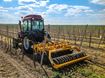 Image sur Déchaumeur à disques indépendants pour vignes